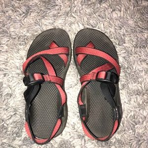 maroon chacos